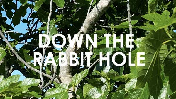 downtherabbithole2