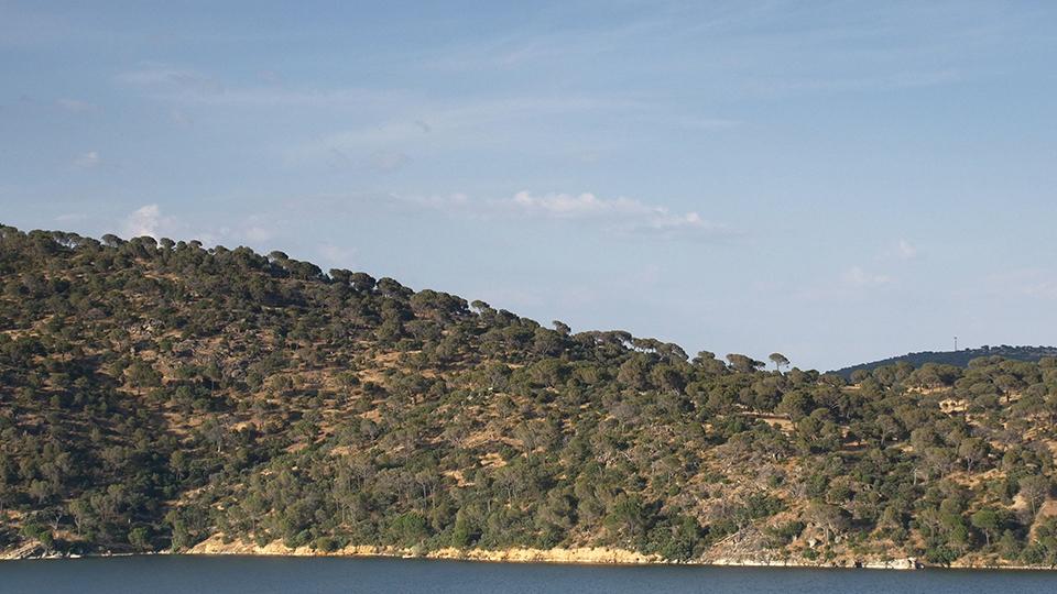 eloraculo2